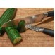 Набор ножей CS Solingen Shikoku (5 ножей и бамбуковая подставка)